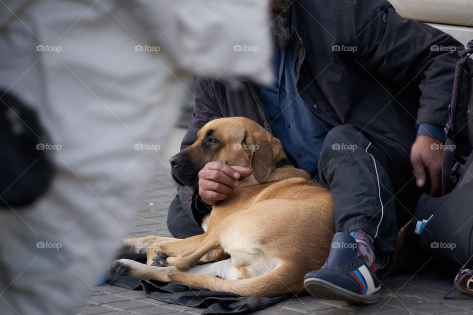 Close-up of man with his dog on street