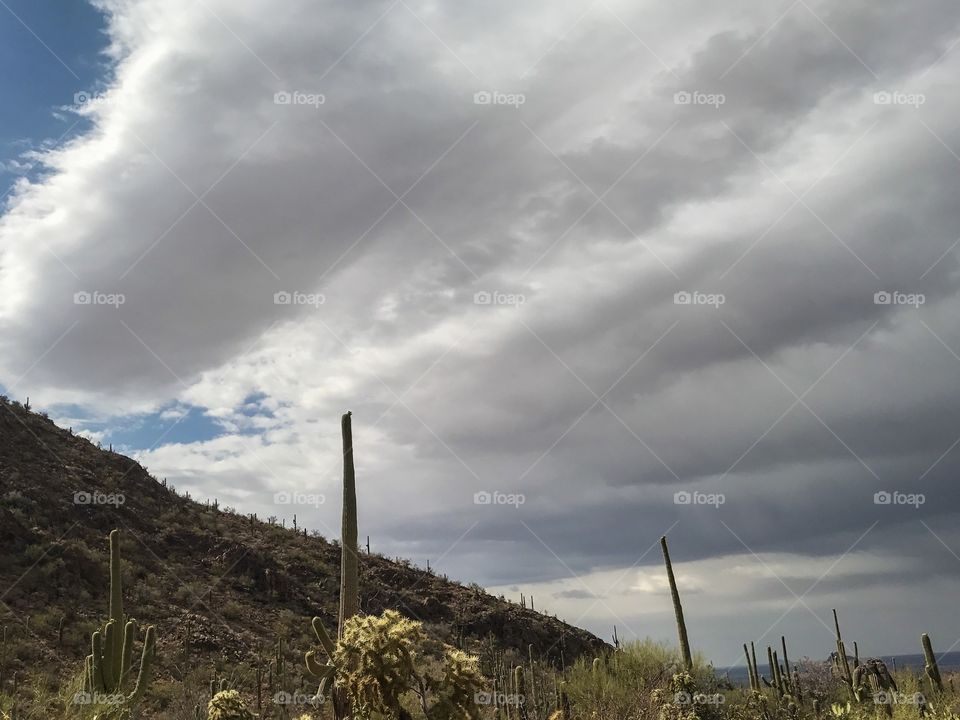 Nature - Desert Landscape 