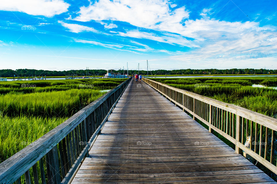 dock on Hilton Head island