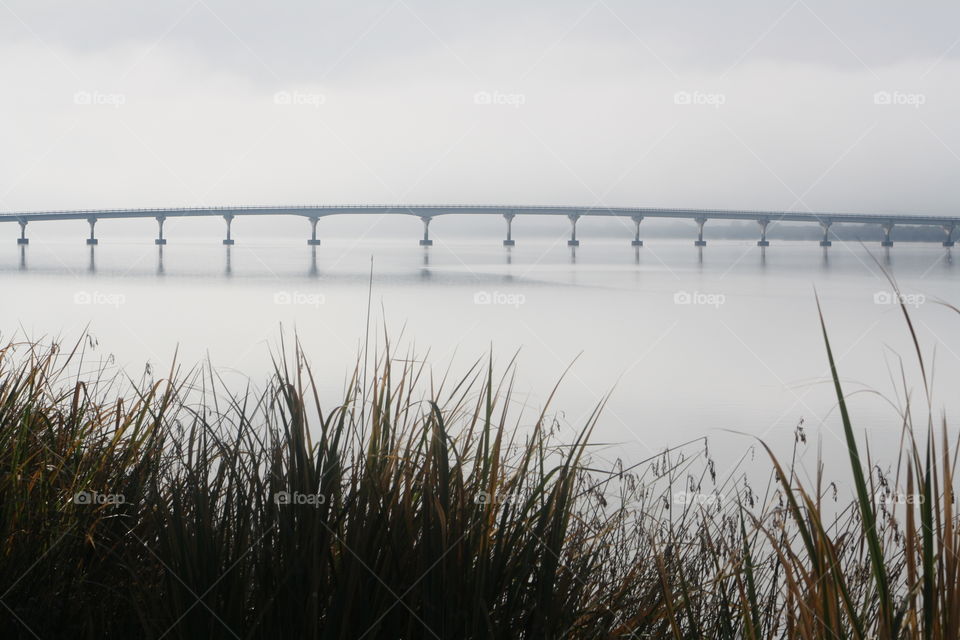 Bridge in the mist