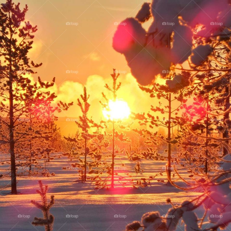 Зимний закат