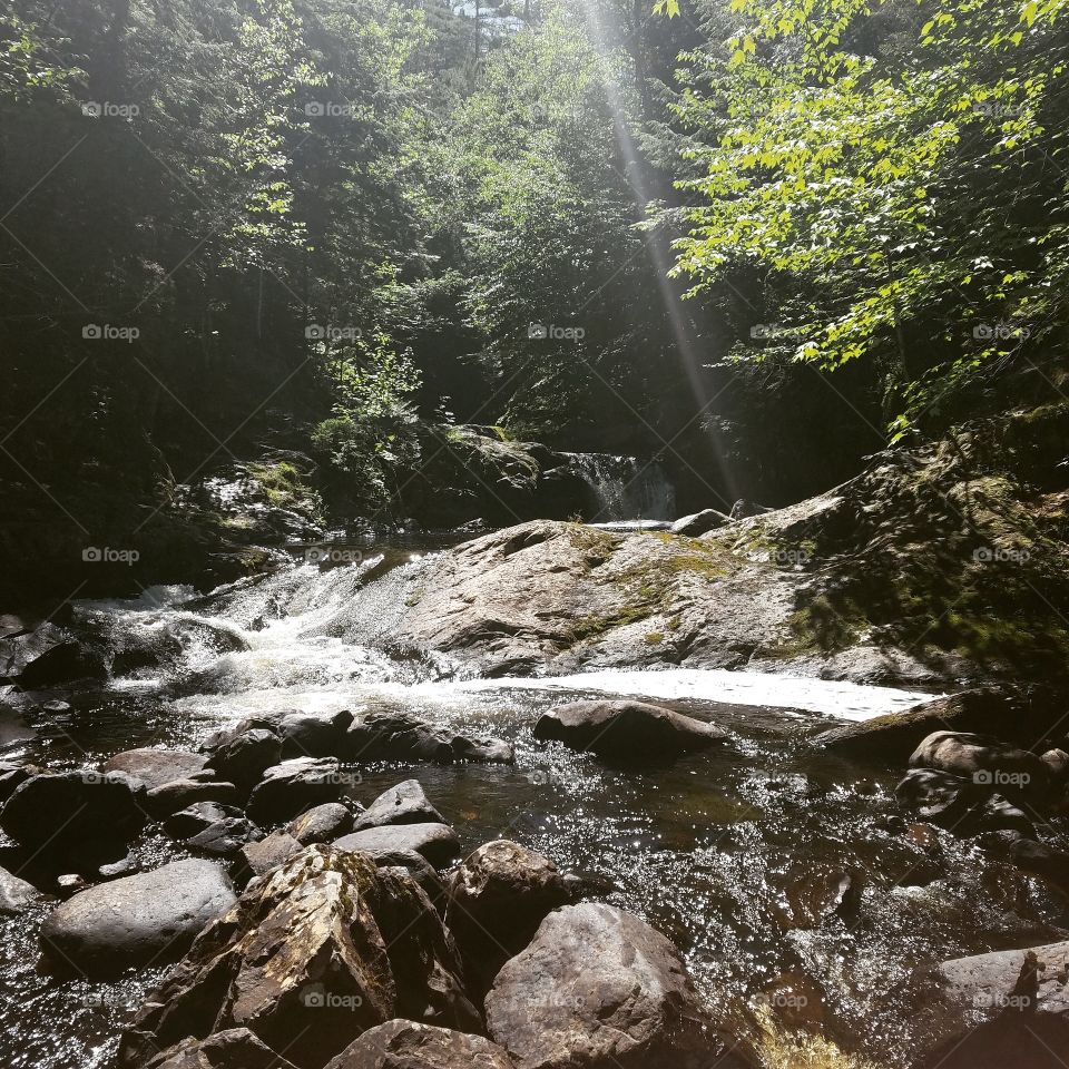 The hidden places in life are the hardest to find... but the most stunning