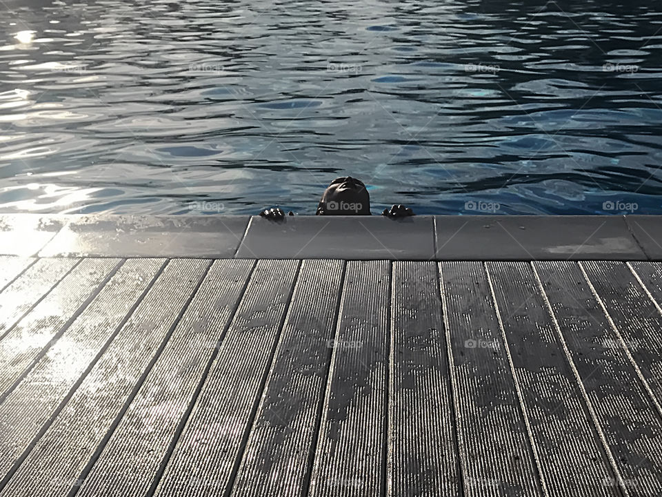 Enjoying the last summer days by the swimming pool 