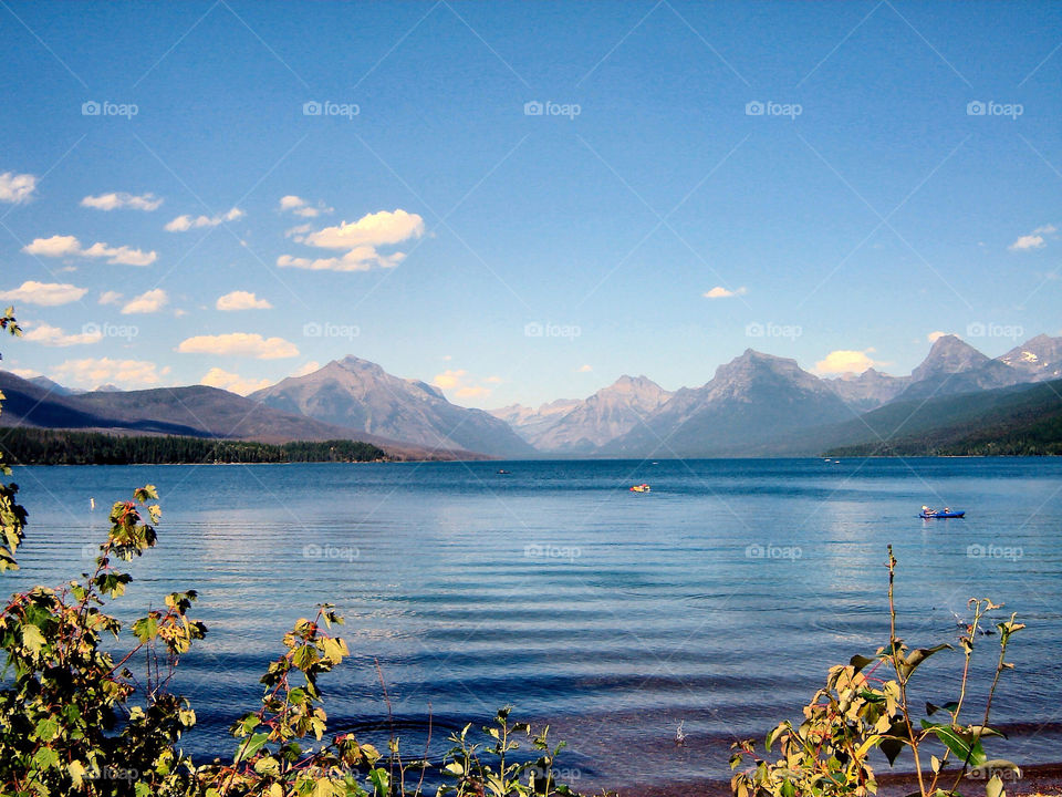 united states flora lake plant by refocusphoto