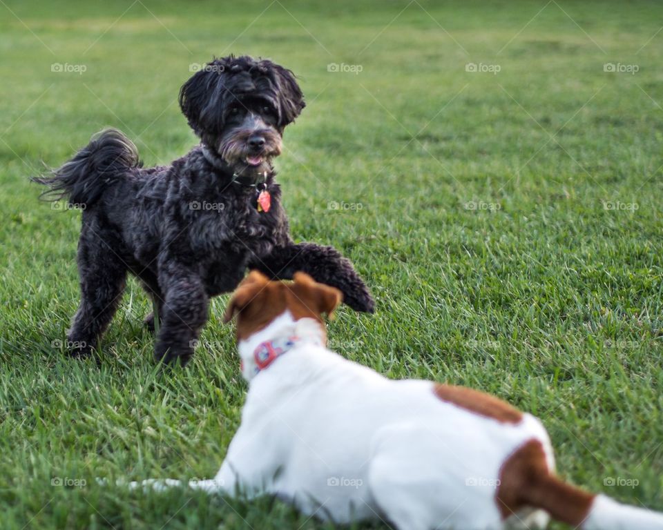 What are you going to do?