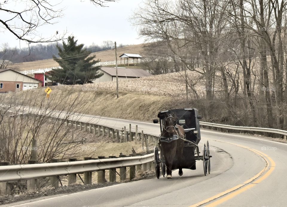 Horse and buggy in Amish Country USA Roads