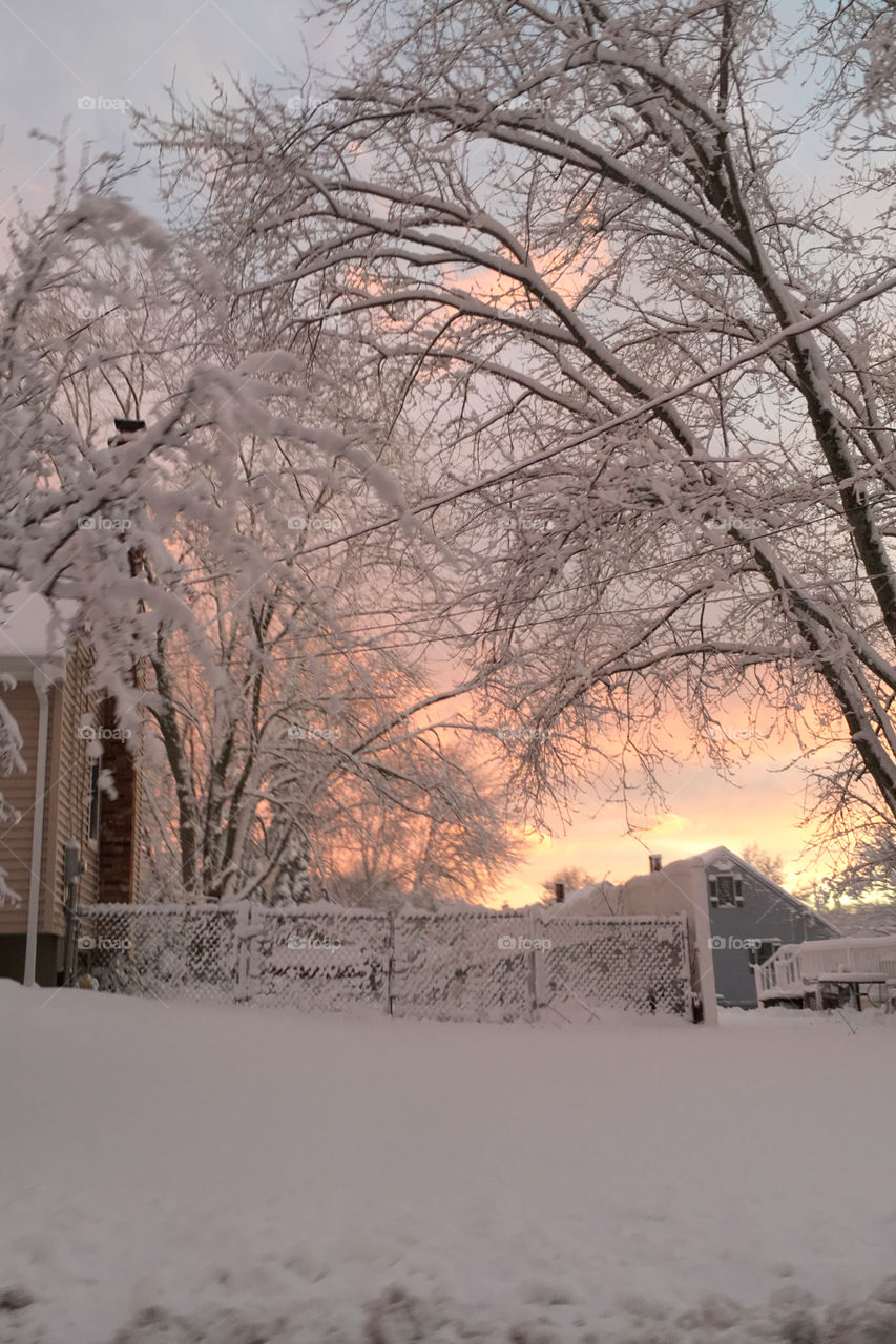Sunset glow illuminates this snowcovered Winter Wonderland landscape after a New England snowstorm. 