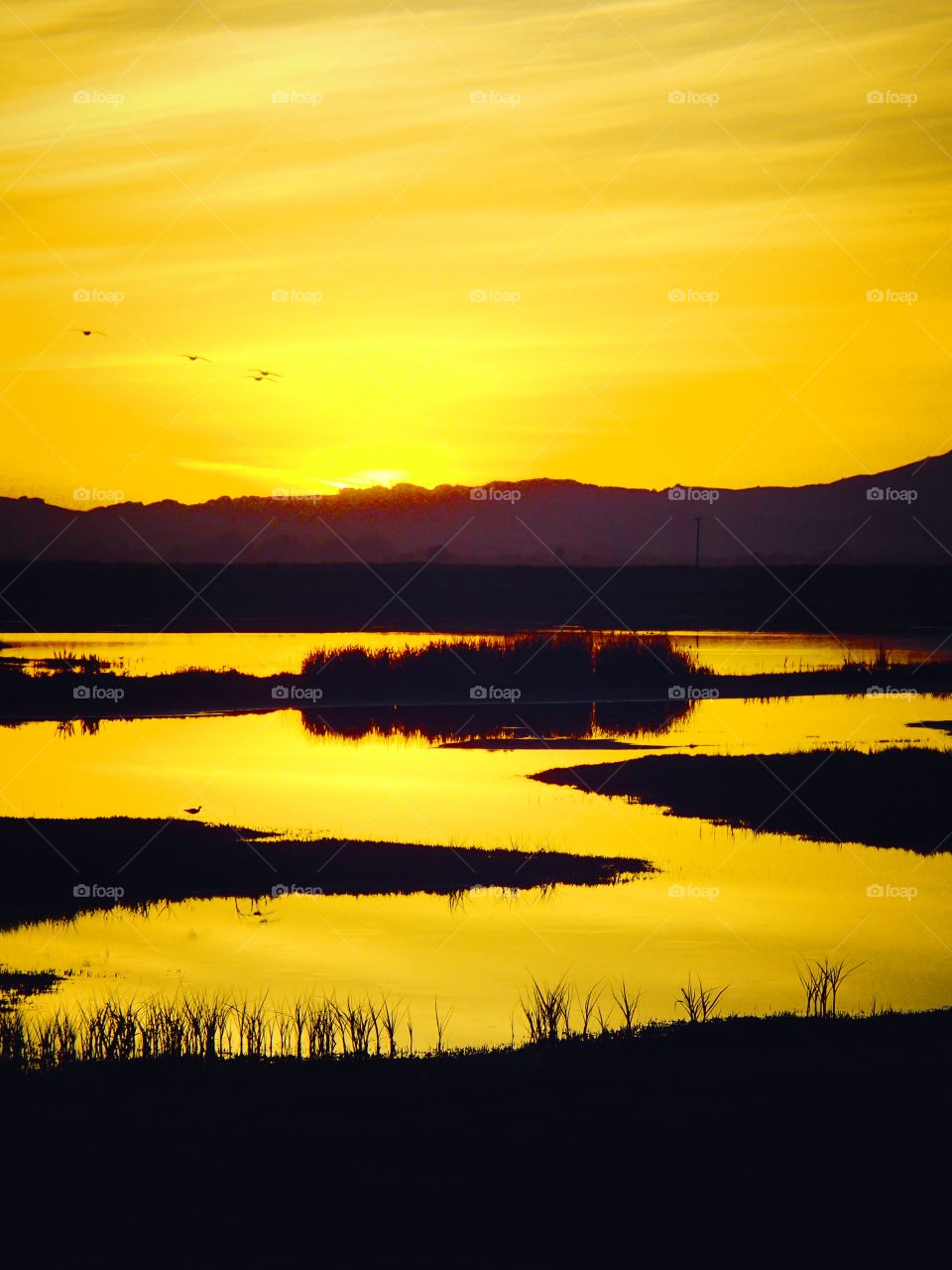 Sun sets over the Napa-Sonoma Marsh.
