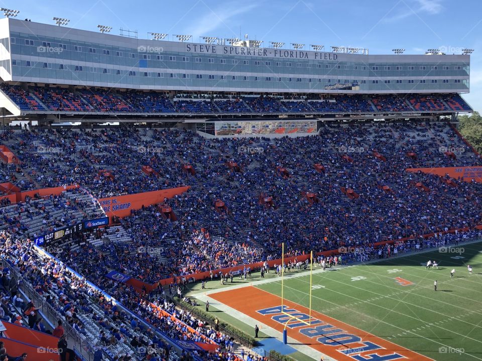 The Swamp