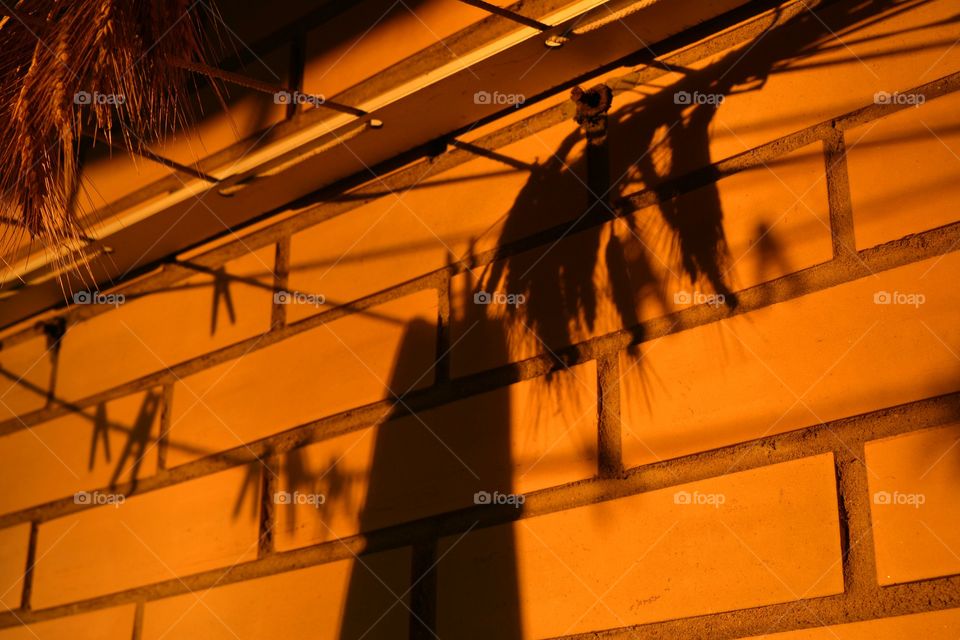 beautiful light and shadows on a brick wall on a sunset, abstract background