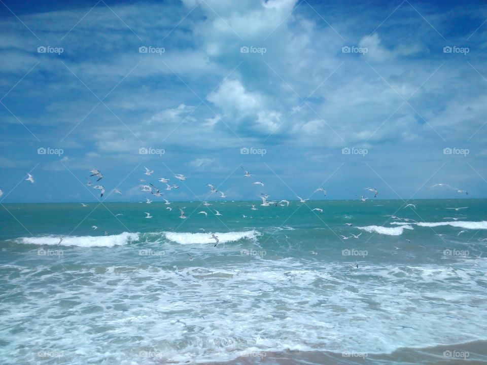 Awesome Beaches and Cliffs