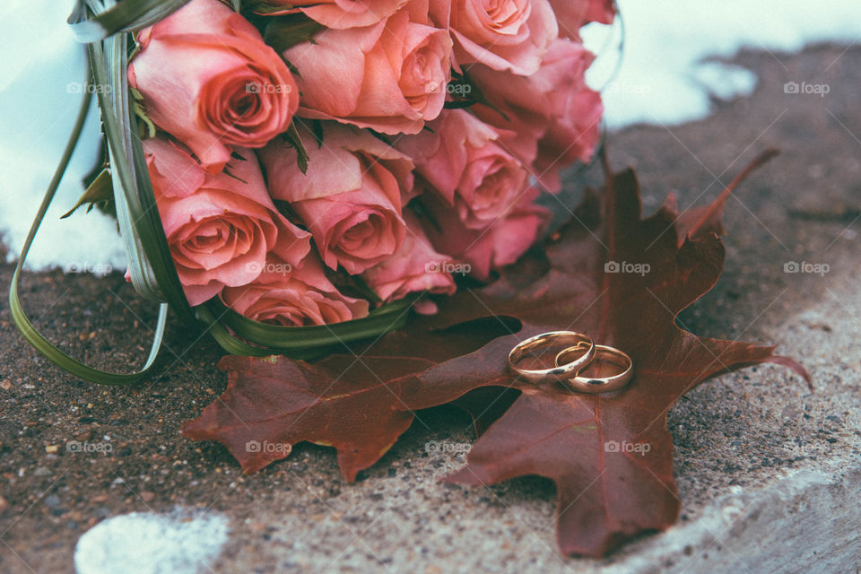 Rings are laying in autumn leaves