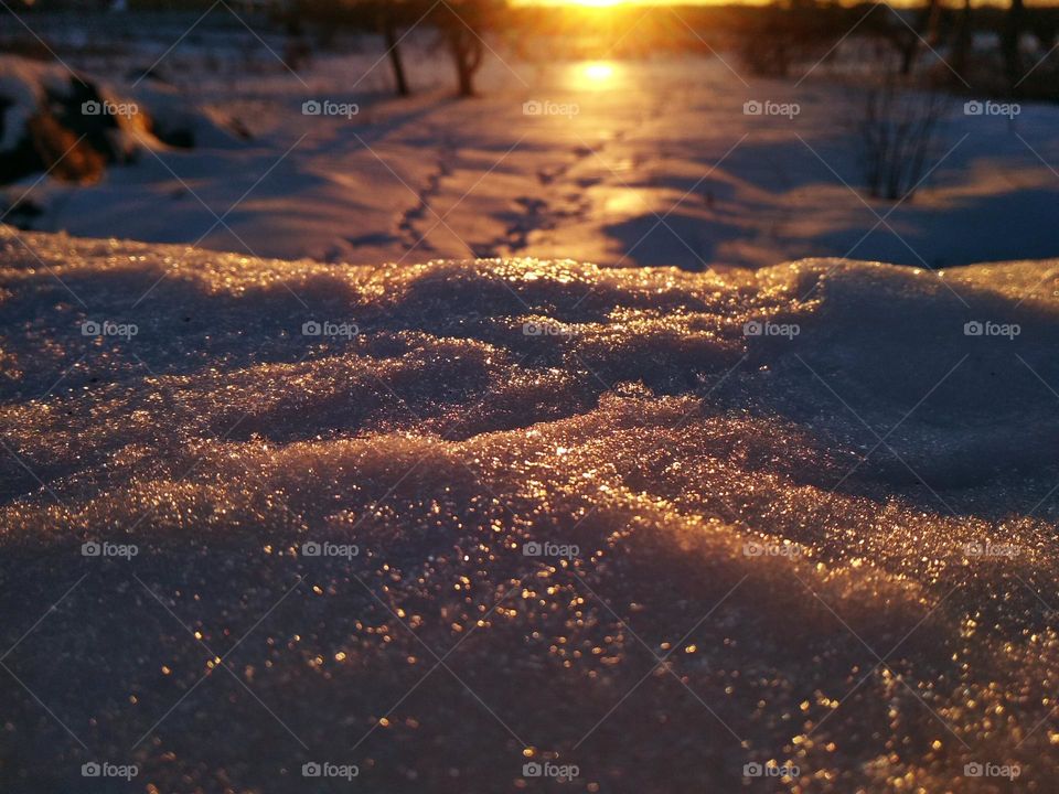 photo of snowy landskape at sunset. Snow reflects sunlight. Photo is in warm photos