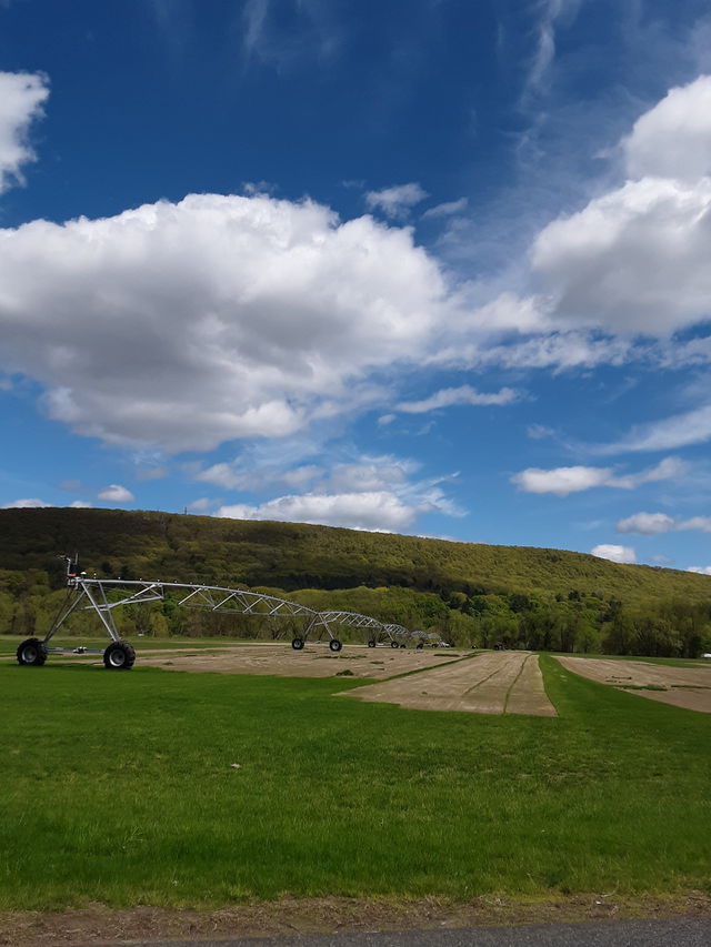Farm