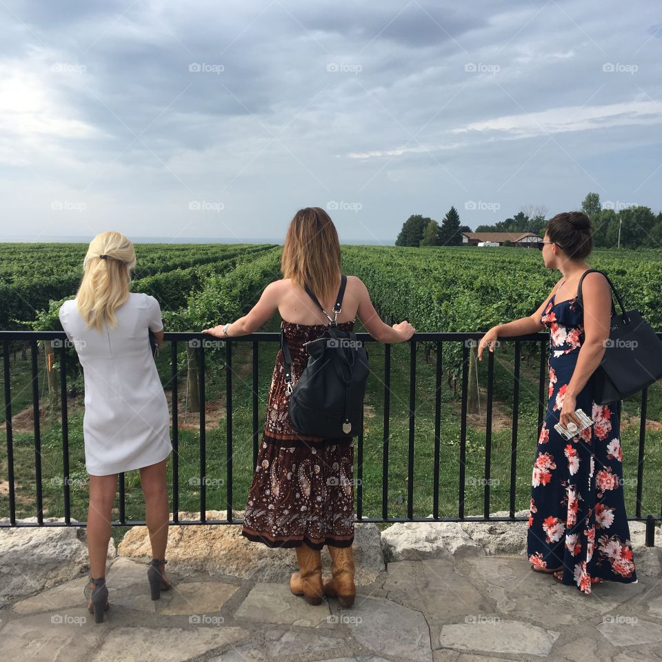 Three young women look out onto a vineyard as they lean on a wrought iron railing, Lake Ontario visible in the distance, under semi-cloudy skies. They are relaxed and enjoying the view. Neutral tones. 