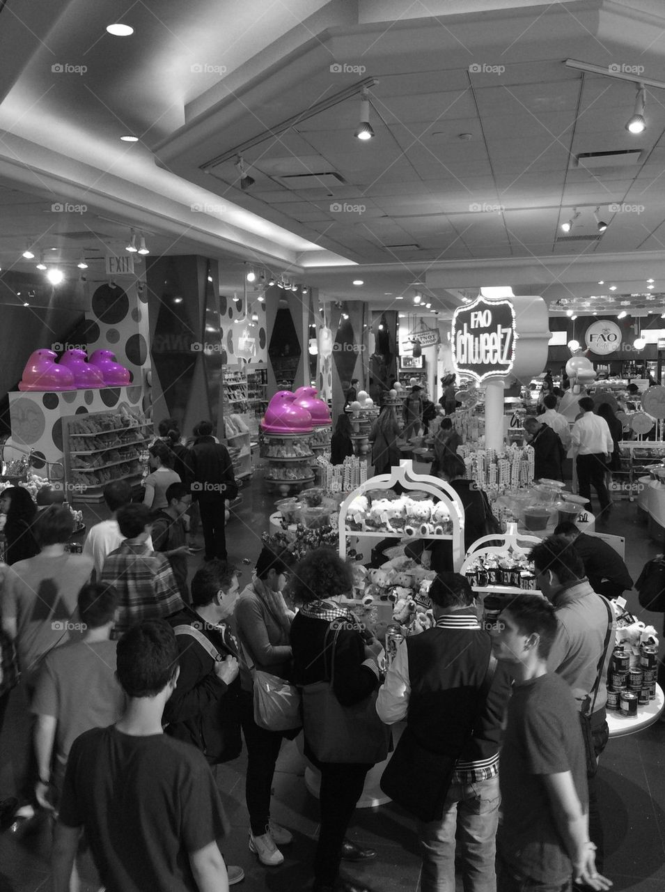 Shopping at FAO Schwartz