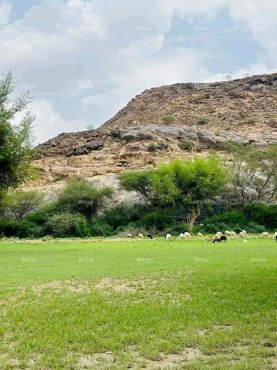 Glory be to God, the magnificent and picturesque view and the natural green trees are a view that is nothing more wonderful than it