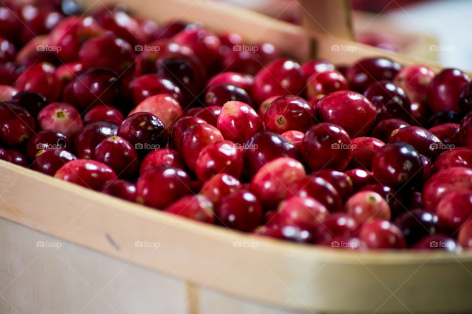 Beautiful red shiny fresh cranberry in a basket full of cranberries traditional Thanksgiving and autumn harvest ingredient 