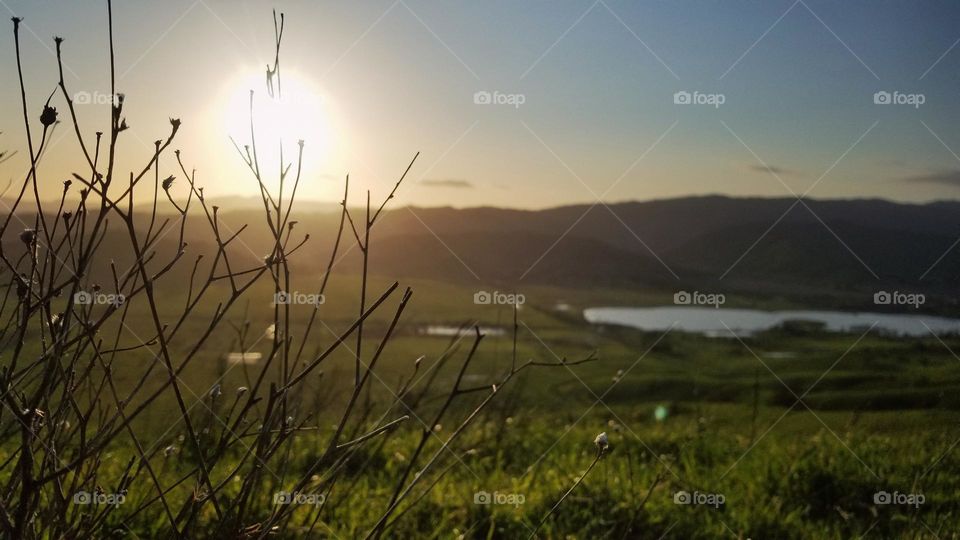 A California sunset in Lagoon Valley Park on a summer evening  