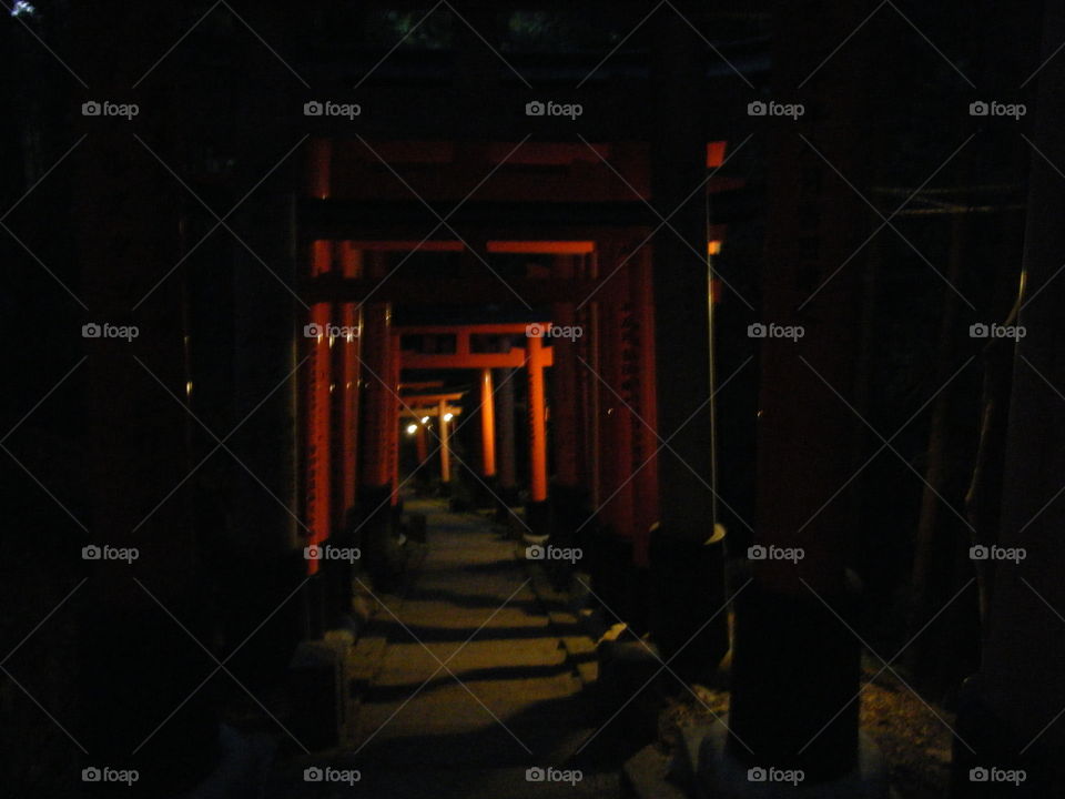 Nighttime torii shrine gates