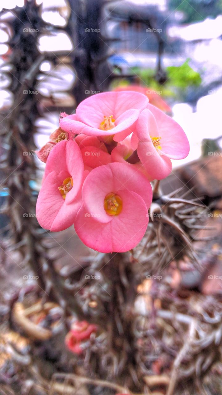 Age oF TransFormation ♻️