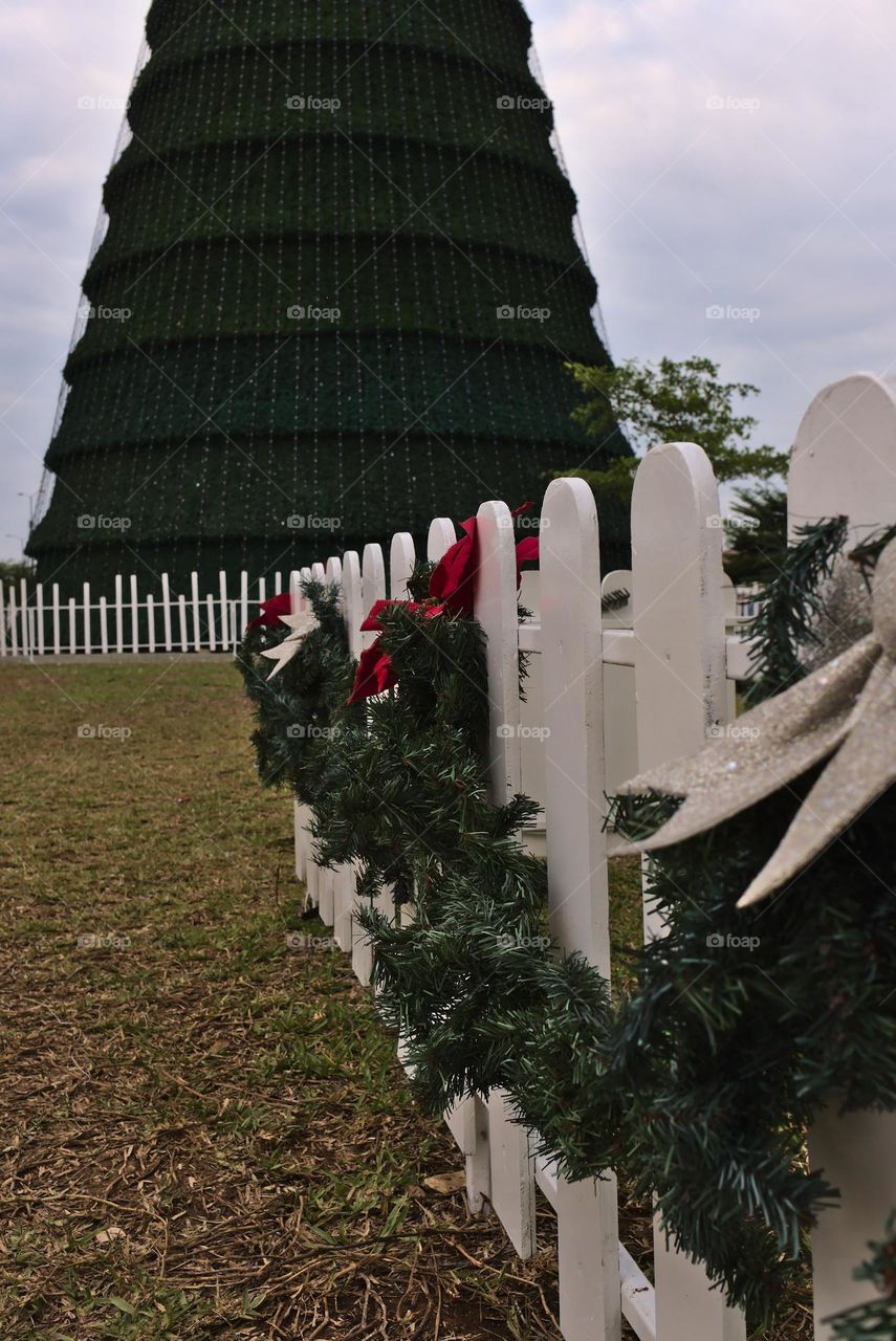 View from a house decorated with Christmas motifs on the tree