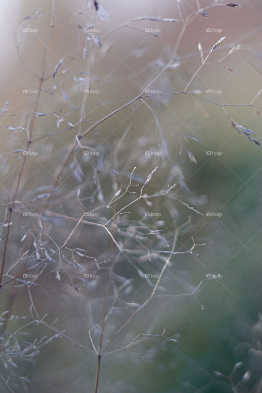 Fall in love with macro