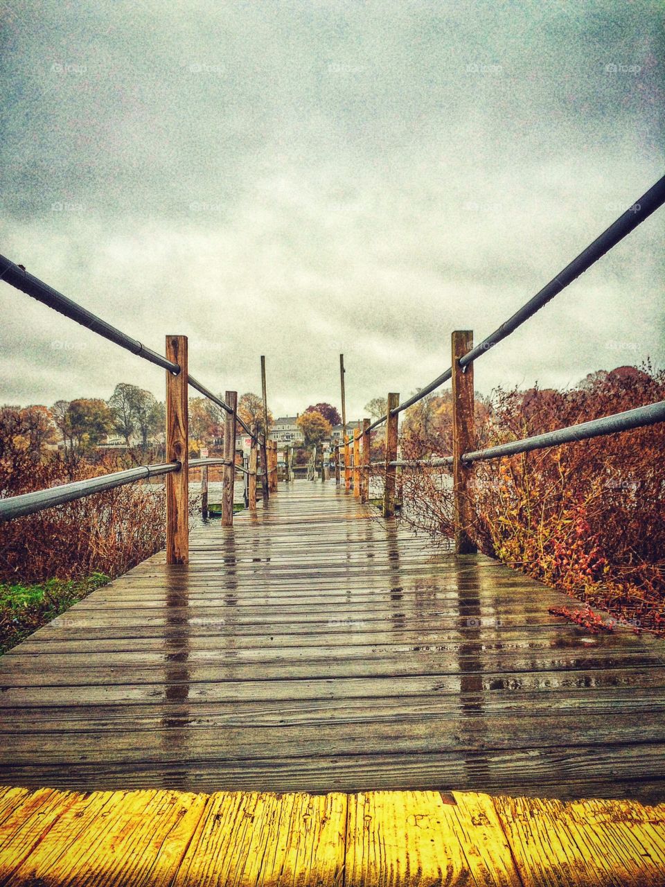 Favourite spot to enjoy the rain 