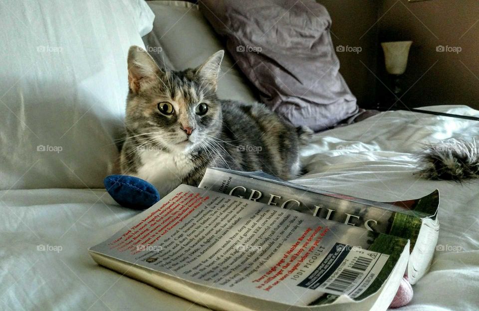 My rescue reading up