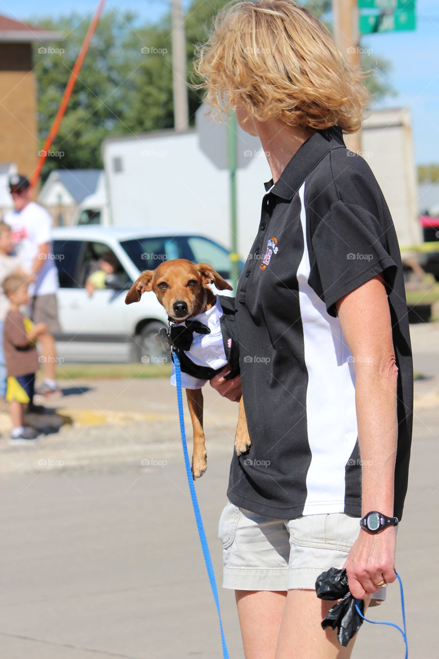 tuxedo pup