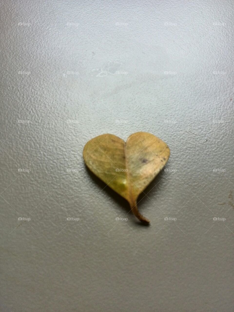 Love Leaf