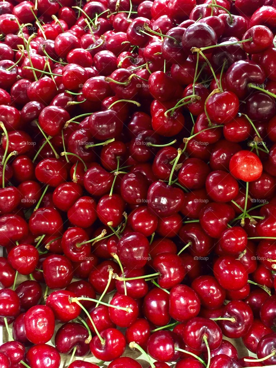 Fresh cherries 