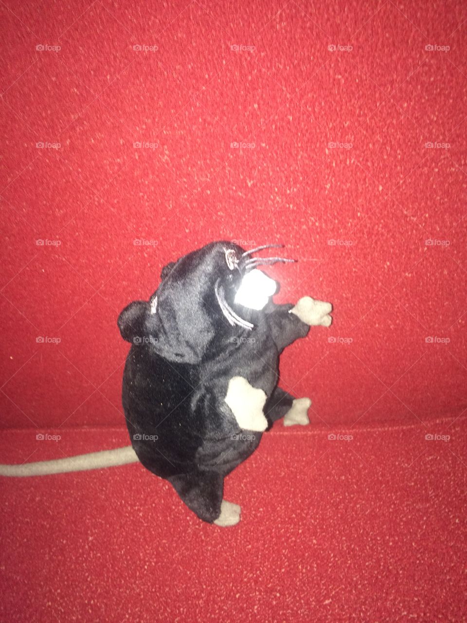 Toy rat 