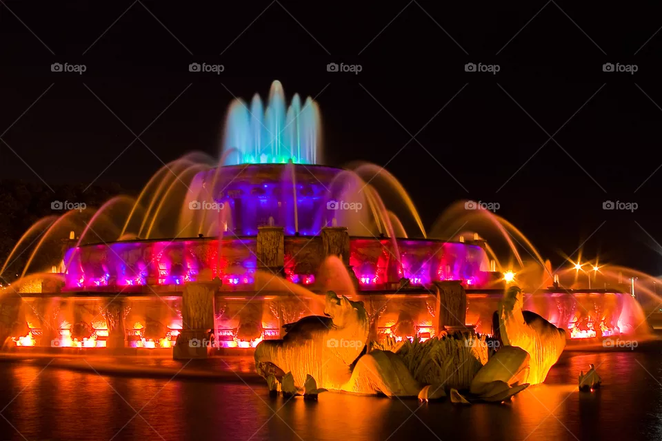 Light, Festival, Evening, City, Urban