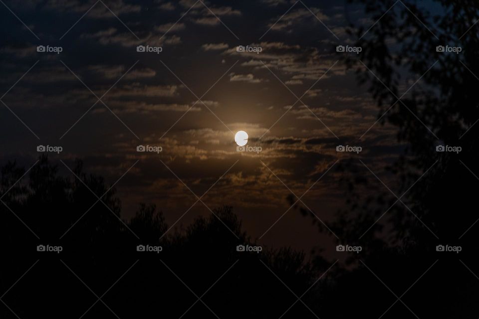 Bright moonlight at night