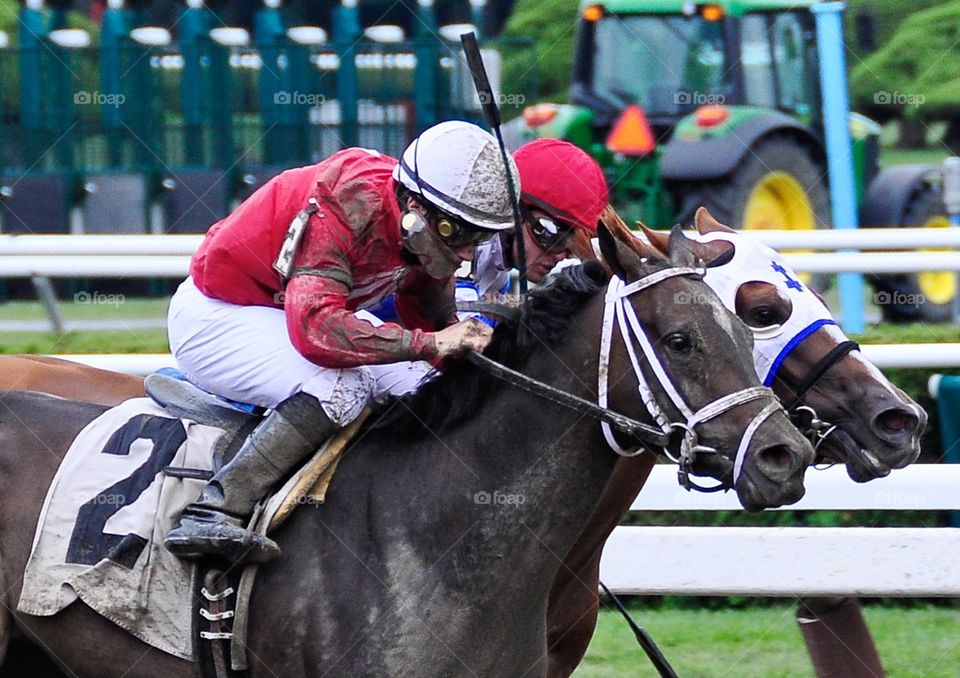 Battle at Saratoga. Racing at it's finest! Saratoga Race Course, the oldest track in America. Horses battle head to head towards the finish 