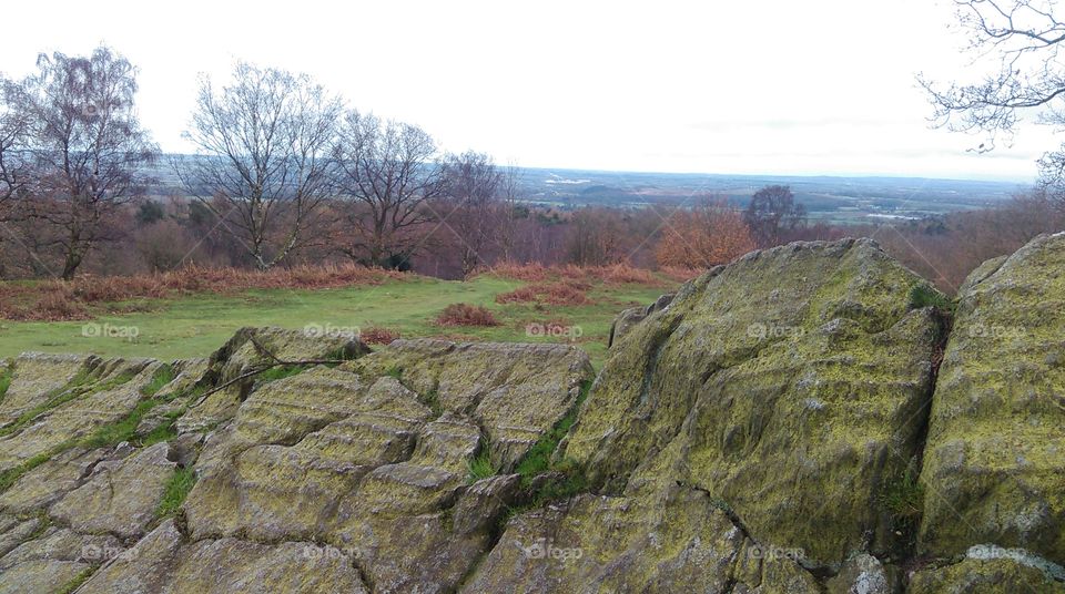 view from Brian's bench