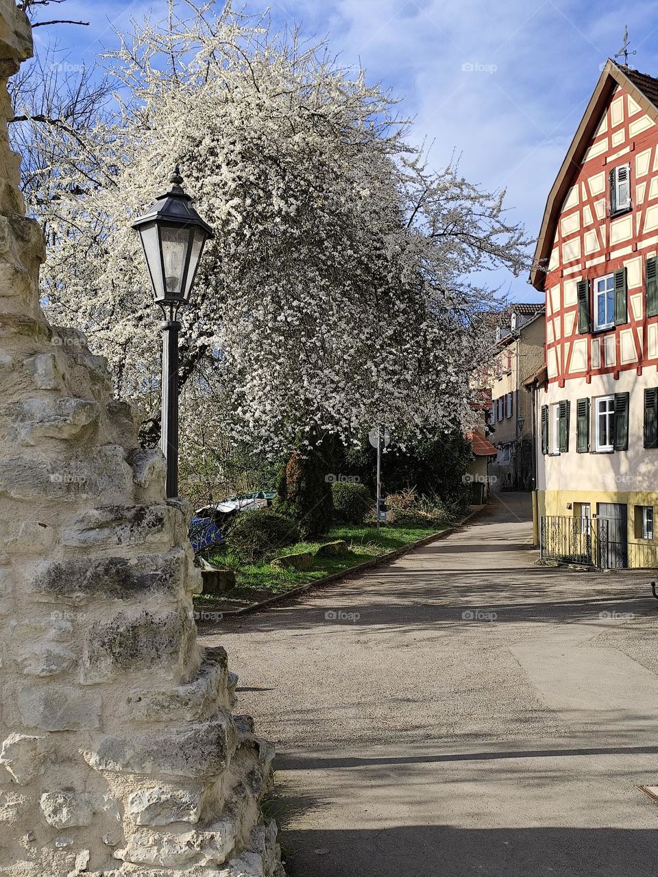 Besigheim Deutschland Frühling