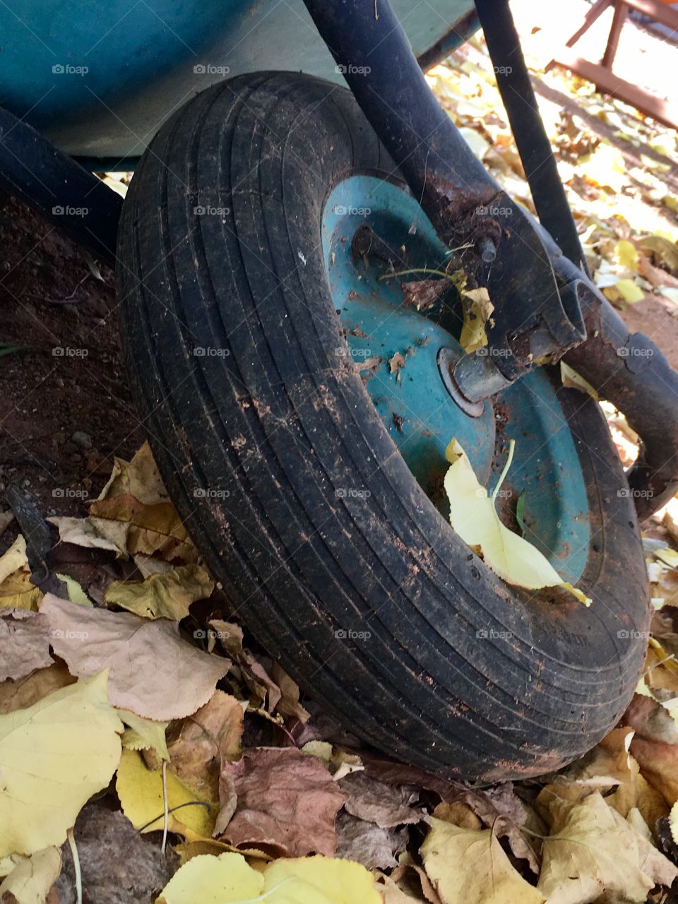 Symmetry; tire treads on wheelbarrow tire 