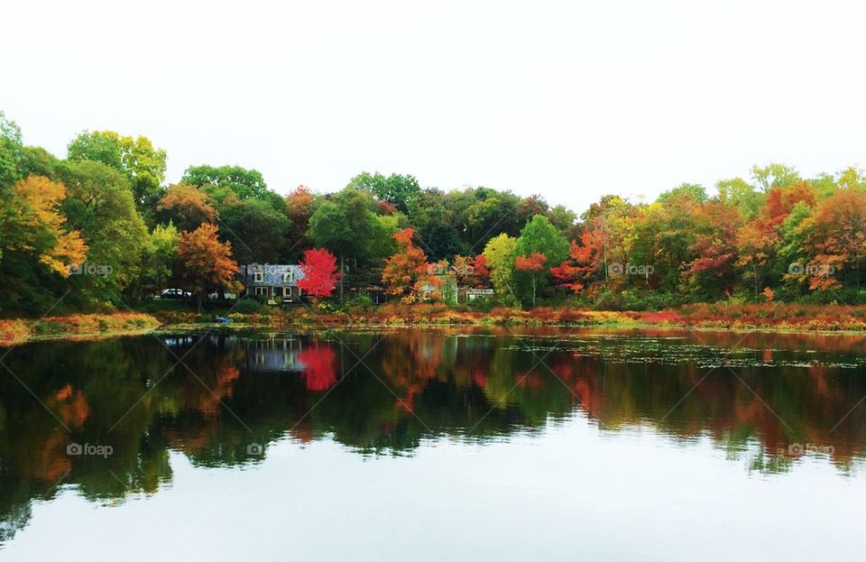 Messinger Pond Canton Massachusetts