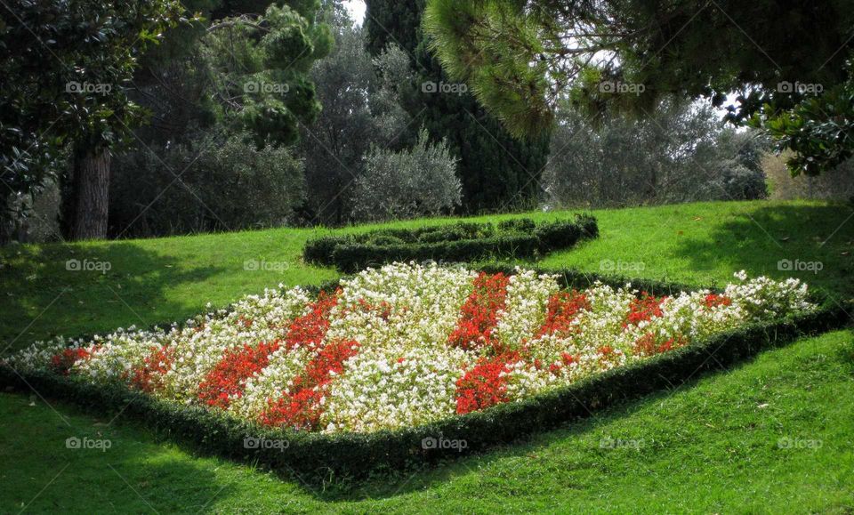 Red and white flowerbed in a green, sunlit park
