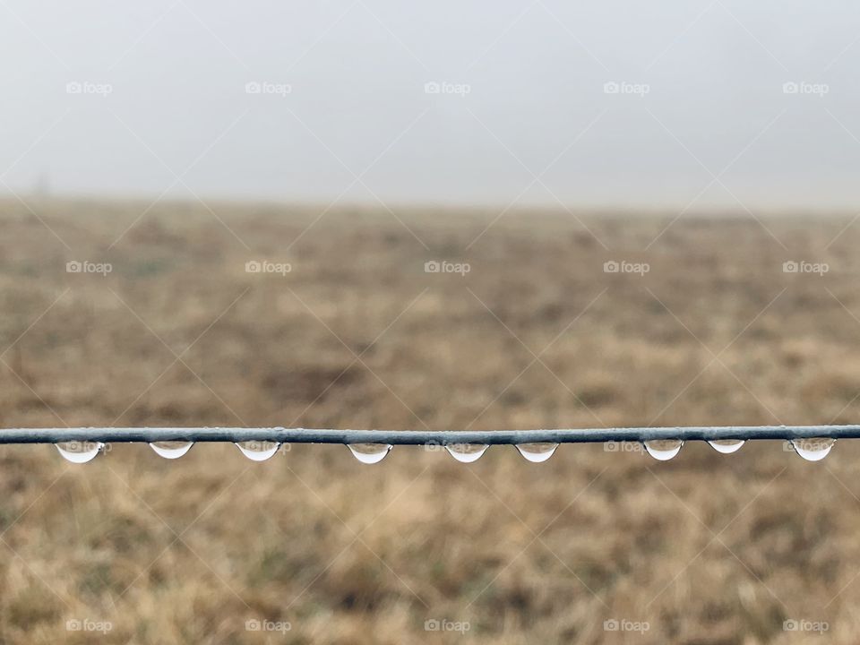 Raindrops on wire against a blurred field on a foggy, grey day