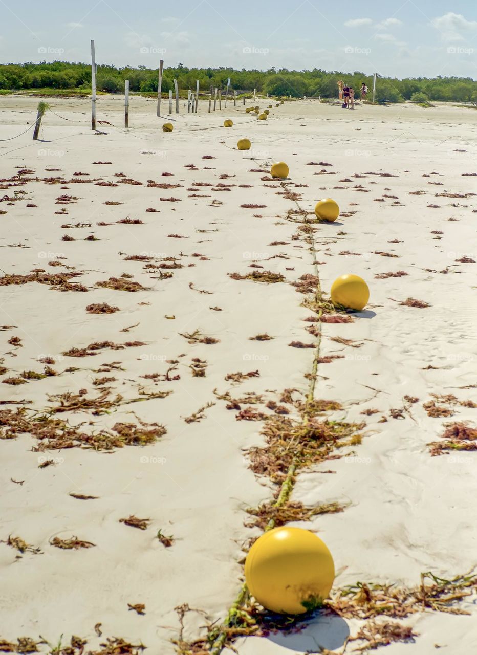 Buoys on a rope at low tide indicating the out of bounds area of the Punta Mosquito Nature Reserve on Holbox Island.