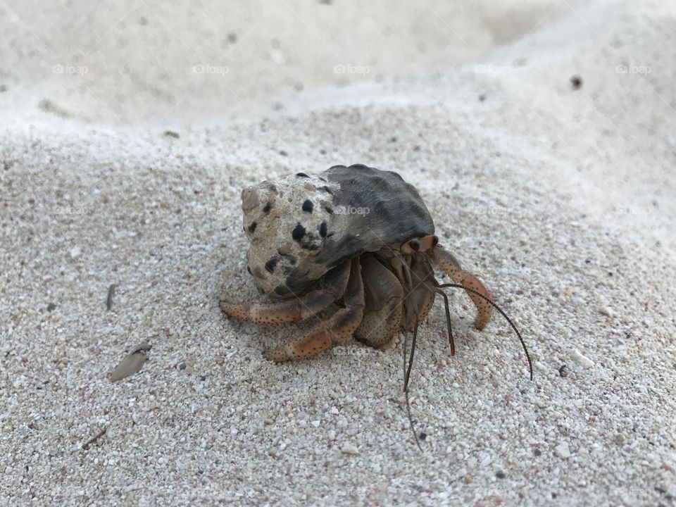 Beach is for everyone!