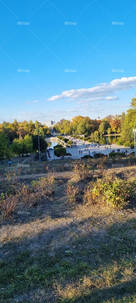 summer vibe shoes with good feeling