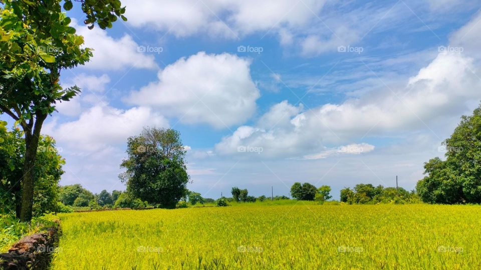 Countryside vs City, Beautiful Country