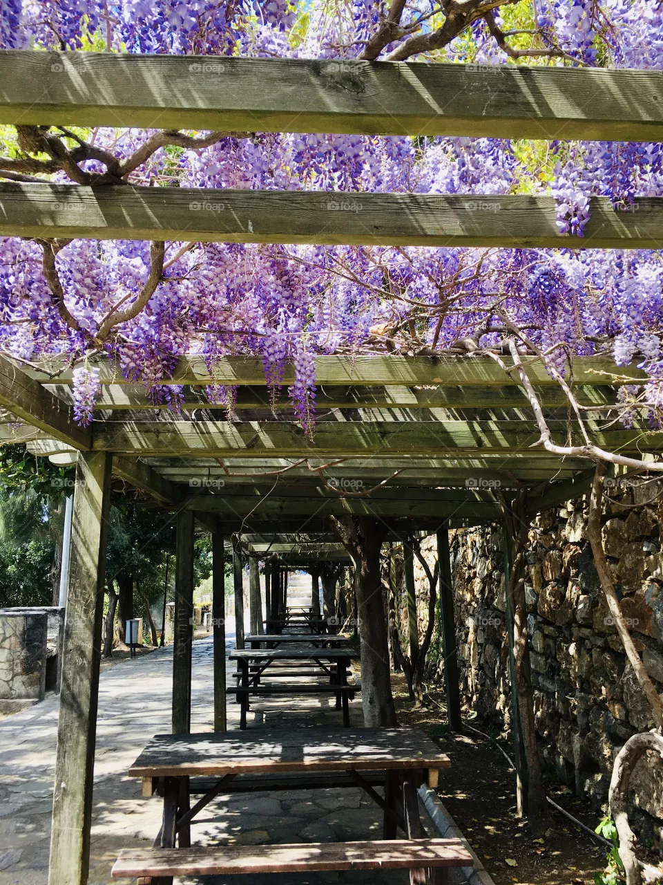 Alanya park 