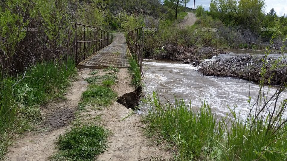 The power of water. Beaver Dam caused water to flow over its banks