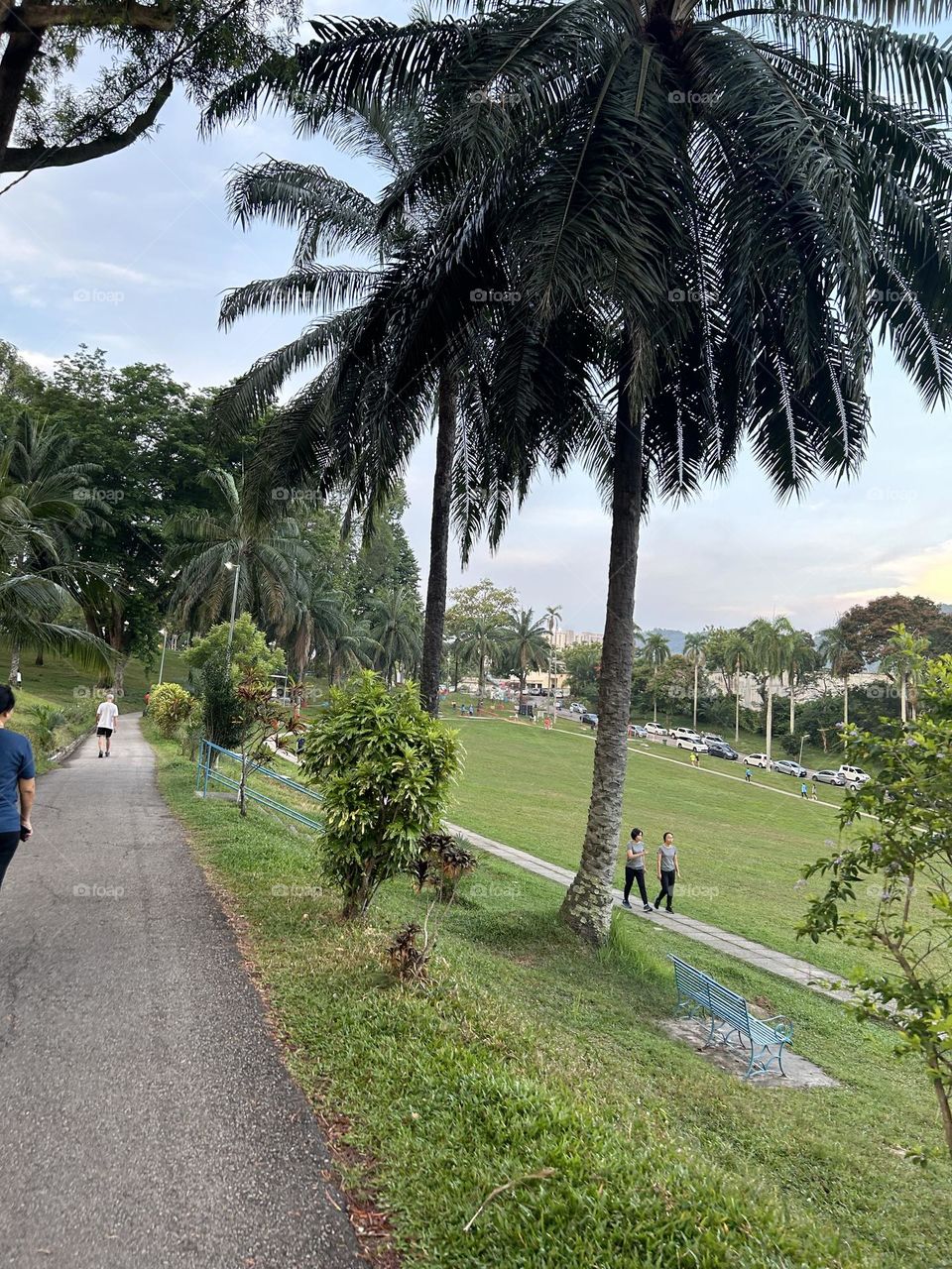 Bukit Dumber Park walk Way