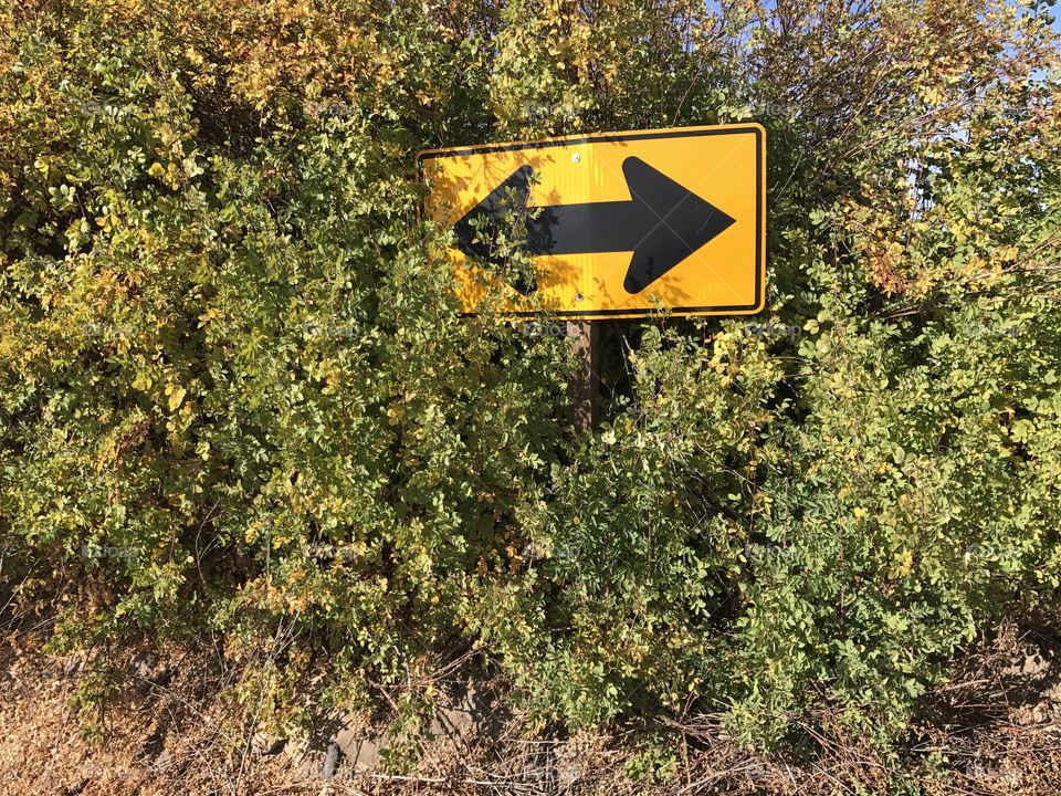 A road sign seeks to offer a choice between turning right or left on a farming backroad in Central Oregon but overgrown bushes with fall colors partially obscure the choice to turn left. 